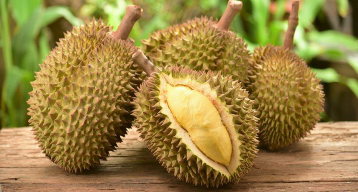 Termahal di Dunia, Durian Kanyao Terjual Rp 682 Juta