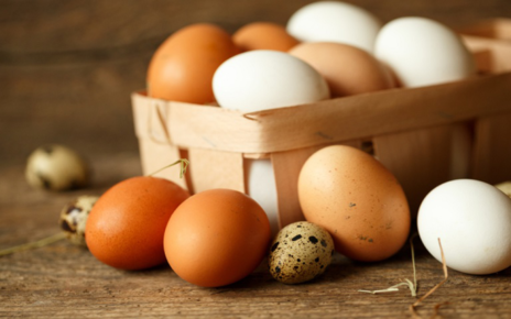 Khasiat Telur Tak Terduga, Jangan Takut Kolesterol