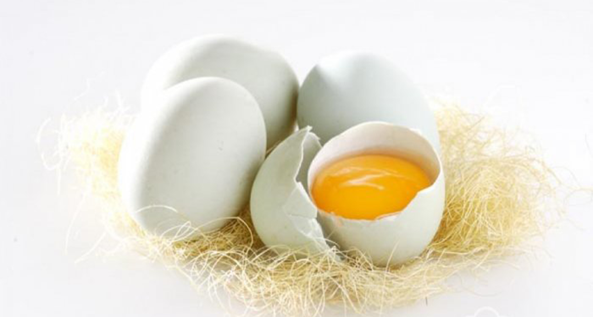 Kelebihan Telur Bebek Dibandingkan Telur Ayam