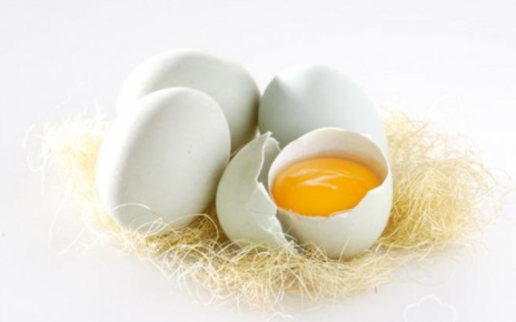 Kelebihan Telur Bebek Dibandingkan Telur Ayam