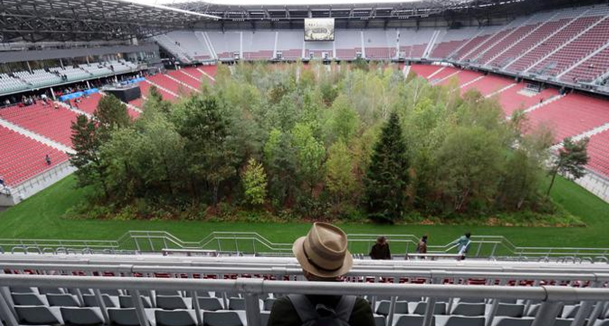 Pemandangan Stadion Bekas Piala Eropa Jadi Hutan