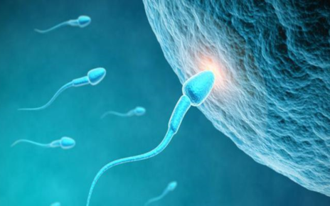 Wahai Pria Ketahui Lama Waktu Sperma Baru