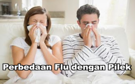 Pilek Dan Flu Penyakit Sering Disamakan
