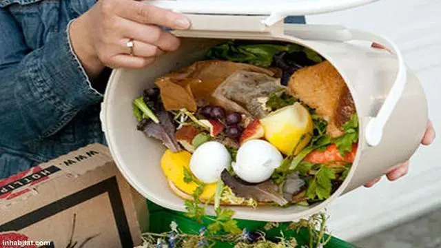 5 Negara Ini Adalah Penyumbang Sampah Makanan Terbanyak