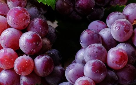 Manfaat Buah Anggur Bagi Kesehatan