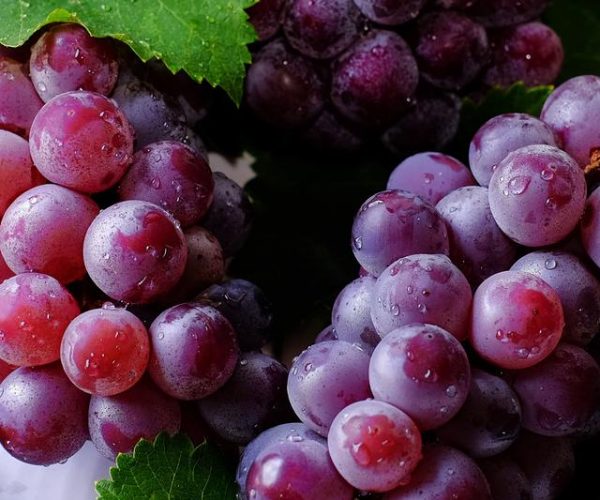 Manfaat Buah Anggur Bagi Kesehatan